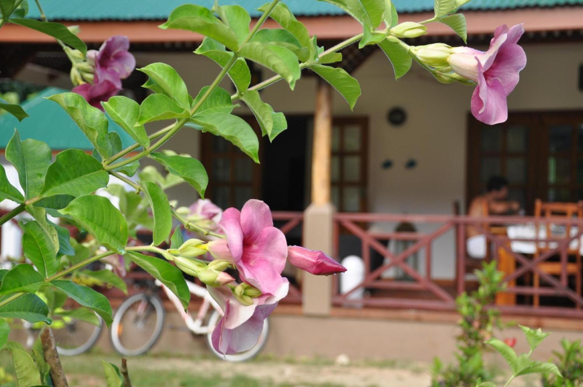 Paodise Guesthouse La Digue Exterior foto